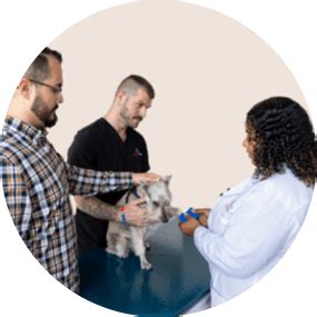 emergency vet|UrgentVet Carytown Veterinary Clinic in Richmond, VA.